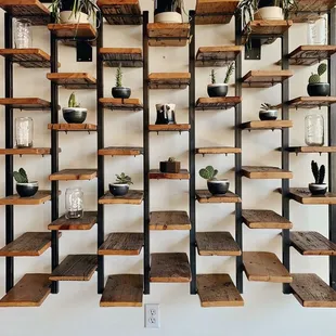 Indoor Plant Wall