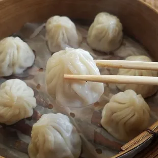 AMAZING XLB