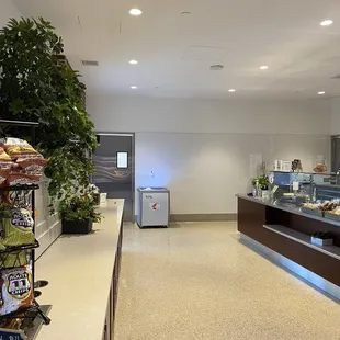 Counter service restaurant