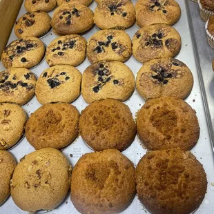 Freshly baked muffins
