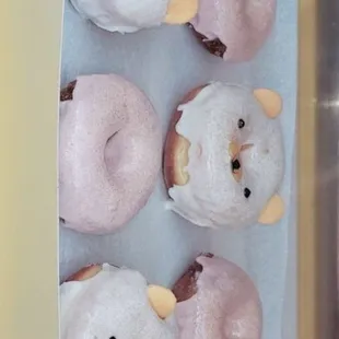 Teddy bear donuts.