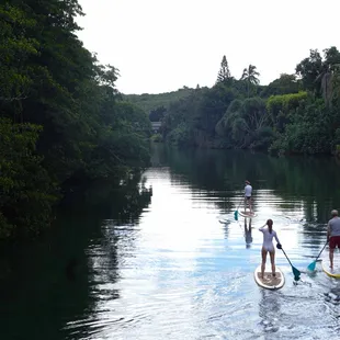 book your stand up paddle tour today.