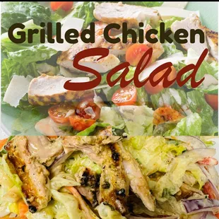 Grilled Chicken Salad