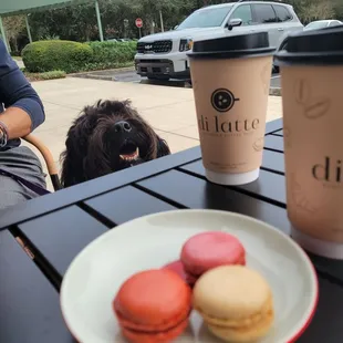 dessert