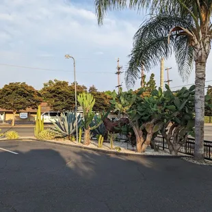 Yard