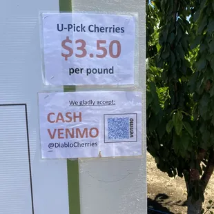 Website says cash only, but Venmo is accepted and easy!