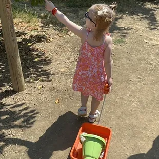 Great for toddlers and preschoolers