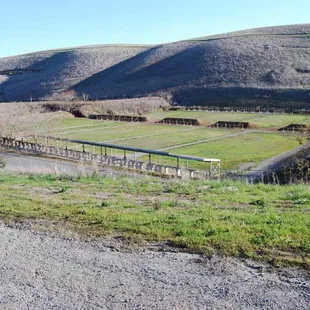 picture of the public rifle side of the range.