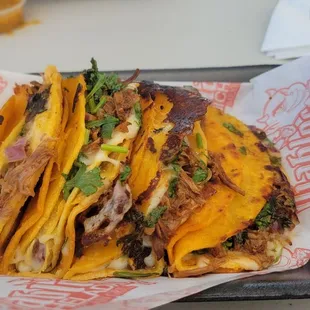 Quesobirria taco