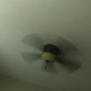 Fan For fan of food