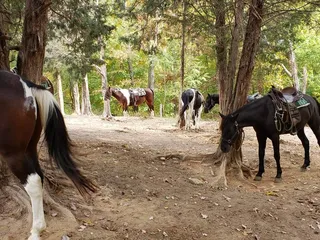 Adventures of Mammoth Cave