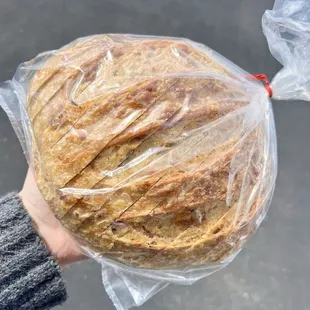 Bacon/Cheddar Sourdough