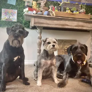 River - Lil Bo Peep - Mr Biggs