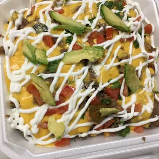 Carne Asada Fries