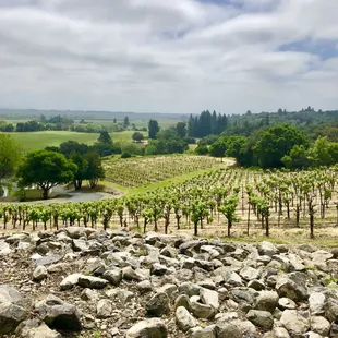 The view from Armida Winery