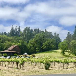 Wine tour stop in Sonoma County