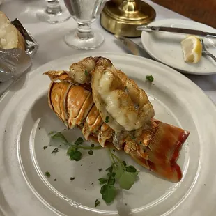 Lobster Tail
