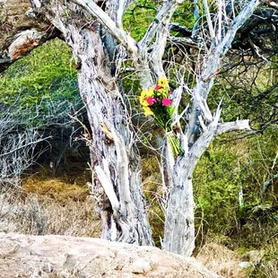 Happy Birthday, Braddah B.