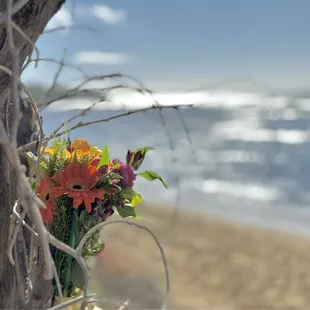 Happy Birthday Braddah B!