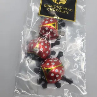 Chocolate ladybugs, $3