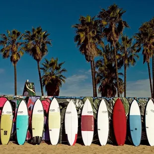 Great selection of Haydenshapes!! Stop by and check it out.