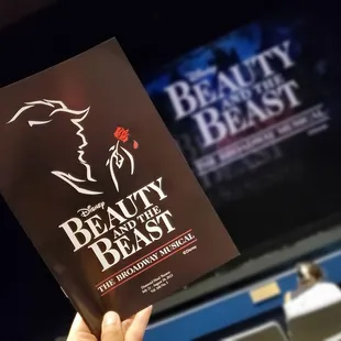 Disney Beauty and the Beast - The Broadway Musical.