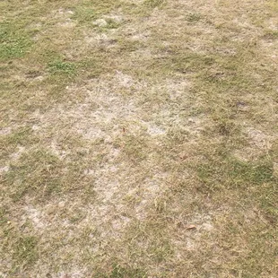 Par 3 12th bunker. Oops, I mean tee box.