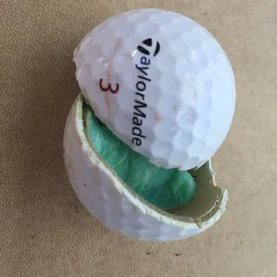 My husbands tee shot, a victim of the mower on #4.