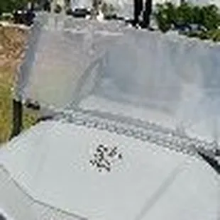 Looks like new golf carts at Diamond Hill Golf Club!