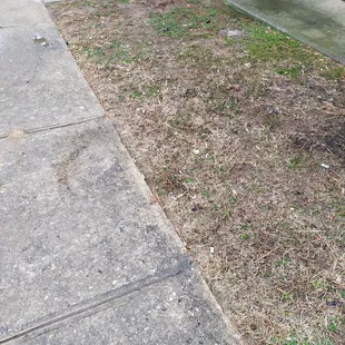 I count over 100 cigarette butts.