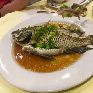 Steamed Tilapia /