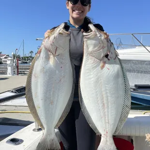 Halibut