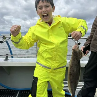 Halibut