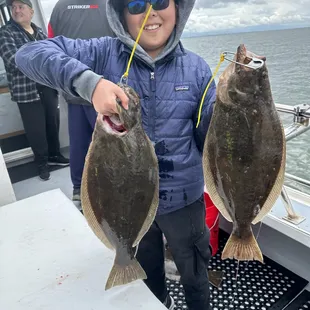 Halibut