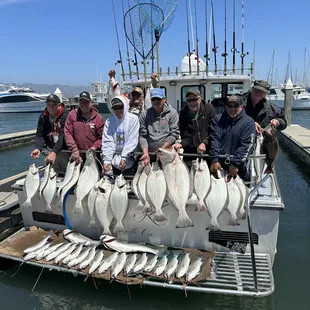 Halibut and bass