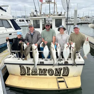 Halibut and striped bass