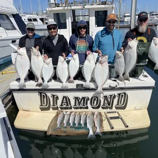 Halibut and bass