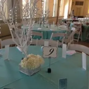 Tiffany Blue Wedding
