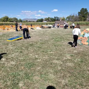 Corn hole