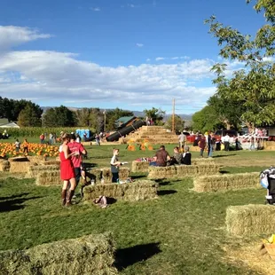 Straw hill with slide