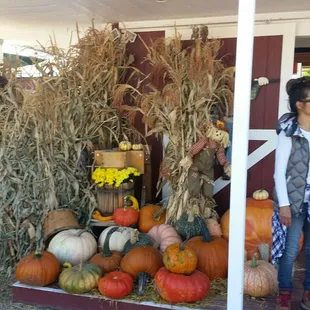 Main gate, so awesome!