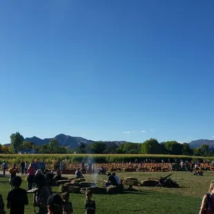 The field of pumpkins! Go to go here!