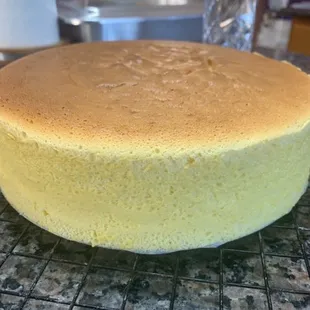 Cheese Cake