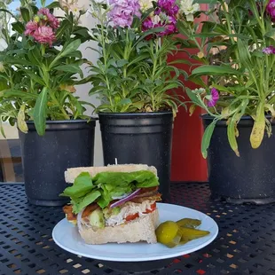 Yummy homemade wheat bread with Turkey and Bacon and Avocado.  So good.