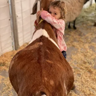 Another petting zoo photo