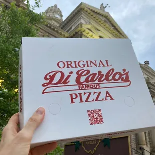 a hand holding a box of pizza