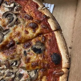 Large extra cheese, mushroom &amp; garlic pizza. But what I got was a BURNT, NASTY, hard as a brick inedible pizza!