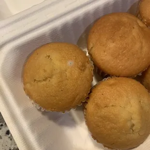 six muffins in a styrofoam container