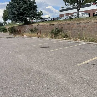 Parking lot looked abandoned and weeds overgrown.