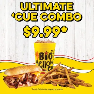 ONLY FOR $9.99